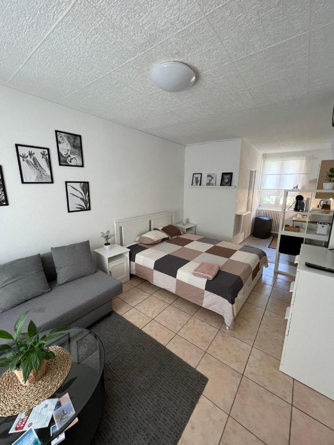 Appt 4 Recientemente Renovado Apartment Lausanne Luaran gambar